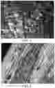 Fig. 03 - Methods for clearing specimens used in optical microscopy