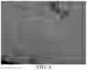 Fig. 04 - Methods for clearing specimens used in optical microscopy
