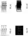 Fig. 05 - Method and system for high resolution digitized display