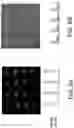 Fig. 10 - Method and system for high resolution digitized display