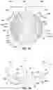 Fig. 04 - PUPIL DEPENDENT DIFFRACTIVE LENS FOR NEAR, INTERMEDIATE, AND FAR VISION