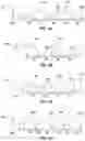 Fig. 06 - PUPIL DEPENDENT DIFFRACTIVE LENS FOR NEAR, INTERMEDIATE, AND FAR VISION
