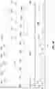 Fig. 08 - PUPIL DEPENDENT DIFFRACTIVE LENS FOR NEAR, INTERMEDIATE, AND FAR VISION
