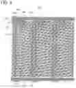 Fig. 05 - Liquid crystal display device and electronic device