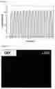 Fig. 04 - Film having variable transmittance