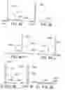 Fig. 09 - Multiple mode display apparatus