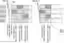Fig. 01 - Method of storing items of data