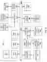 Fig. 07 - Record replication for multi-column partitioning on distributed database systems