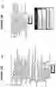 Fig. 13 - Universal analytical data mart and data structure for same