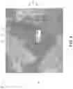 Fig. 07 - System and method associated with an insular digital content distribution platform that generates discrete epochs of content based on determination of a germane zip-span polygon region