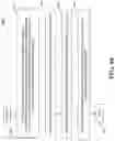 Fig. 46 - WEBSITE CREATION USING CONTENT AND PRODUCT CODES ASSOCIATED WITH KEYWORDS