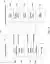 Fig. 03 - Apparatus and method of detecting potential security violations of direct access non-volatile memory device