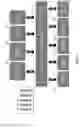Fig. 02 - Application specific integrated circuit link