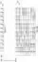 Fig. 19 - Word embeddings and virtual terms