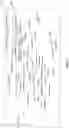 Fig. 28 - Word embeddings and virtual terms