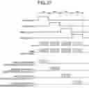 Fig. 26 - Fingerprint detection device and display device