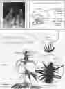 Fig. 01 - System and method for characterization of Cannabaceae plants