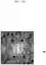 Fig. 19 - Electronic device and method for identifying falsification of biometric information