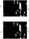 Fig. 10 - Classification with segmentation neural network for image-based content capture