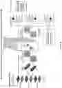 Fig. 35 - Artificial intelligence-based quality scoring
