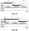 Fig. 08 - Image processing method