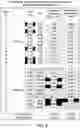 Fig. 10 - SYSTEMS AND METHODS FOR SEQUENTIAL POWER SYSTEM MODEL PARAMETER ESTIMATION