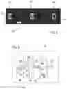 Fig. 05 - Phononic quantum networks of solid-state spins with alternating and frequency-selective waveguides