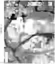 Fig. 06 - VISUAL INFORMATION SYSTEM AND COMPUTER MOBILITY APPLICATION FOR FIELD PERSONNEL