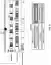 Fig. 08 - METHODS AND APPARATUS FOR OPTIMIZING WELL TESTING OPERATIONS