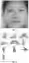 Fig. 06 - Method and apparatus for generating special deformation effect program file package, and method and apparatus for generating special deformation effects