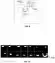Fig. 10 - Systems and methods for super-resolusion image reconstruction