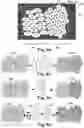 Fig. 05 - System for bright field image simulation