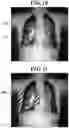 Fig. 09 - Dynamic analysis apparatus, dynamic analysis system, and storage medium