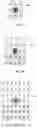 Fig. 04 - Image encoding method and apparatus and image decoding method and apparatus