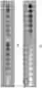 Fig. 06 - Systems and methods for color selection and auditing