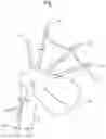 Fig. 02 - ELECTRIC BAGPIPE AND ELECTRIC BAGPIPE COMPONENTS