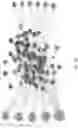 Fig. 18 - STATISTICAL AI FOR ADVANCED DEEP LEARNING AND PROBABILISTIC PROGRAMING IN THE BIOSCIENCES