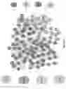Fig. 42 - STATISTICAL AI FOR ADVANCED DEEP LEARNING AND PROBABILISTIC PROGRAMING IN THE BIOSCIENCES