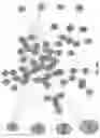 Fig. 43 - STATISTICAL AI FOR ADVANCED DEEP LEARNING AND PROBABILISTIC PROGRAMING IN THE BIOSCIENCES