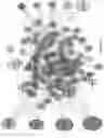 Fig. 46 - STATISTICAL AI FOR ADVANCED DEEP LEARNING AND PROBABILISTIC PROGRAMING IN THE BIOSCIENCES