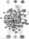 Fig. 47 - STATISTICAL AI FOR ADVANCED DEEP LEARNING AND PROBABILISTIC PROGRAMING IN THE BIOSCIENCES