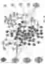 Fig. 51 - STATISTICAL AI FOR ADVANCED DEEP LEARNING AND PROBABILISTIC PROGRAMING IN THE BIOSCIENCES