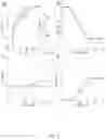 Fig. 07 - MECHANICAL VENTILATION SYSTEM FOR RESPIRATION WITH DECISION SUPPORT