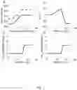 Fig. 09 - MECHANICAL VENTILATION SYSTEM FOR RESPIRATION WITH DECISION SUPPORT