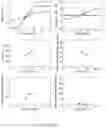 Fig. 15 - MECHANICAL VENTILATION SYSTEM FOR RESPIRATION WITH DECISION SUPPORT