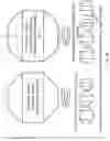 Fig. 09 - Low density porous iridium