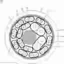 Fig. 01 - Cable structure