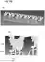 Fig. 08 - Plurality of transistor packages with exposed source and drain contacts mounted on a carrier