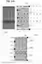 Fig. 16 - Plurality of transistor packages with exposed source and drain contacts mounted on a carrier