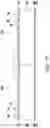 Fig. 04 - Integrated antenna package structure and manufacturing method thereof